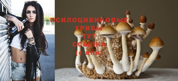 кристаллы Карпинск