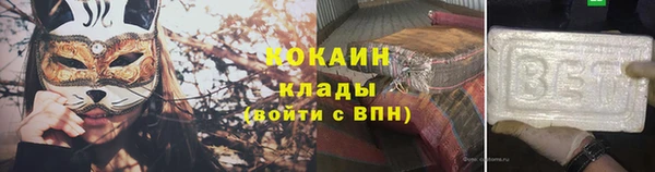 тгк Касимов