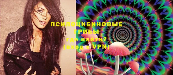 тгк Касимов