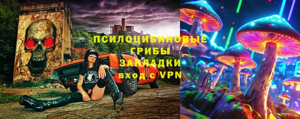 тгк Касимов